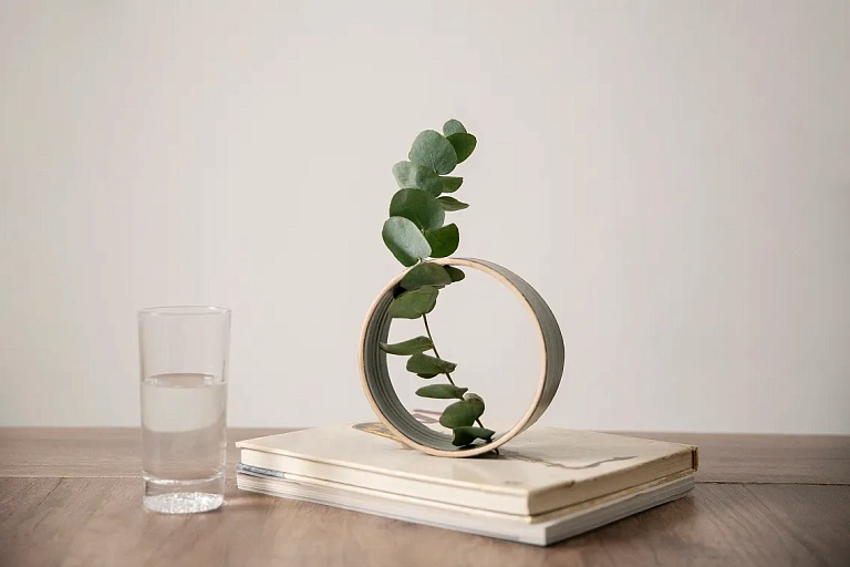 Современные тенденции в лечении хронического рецидивирующего бактериального цистита