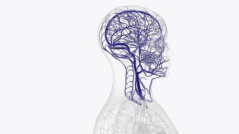 Роль и место ипидакрина в терапии заболеваний периферической нервной системы. Резолюция Совета экспертов